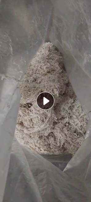 花边厂厂家长期出售废丝，涤纶和涤棉编织线，可以开花用