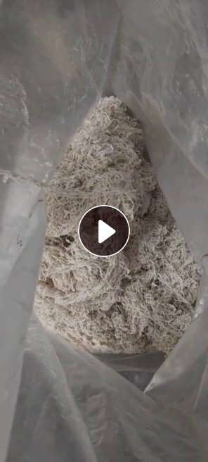 花边厂厂家长期出售废丝，涤纶和涤棉编织线，可以开花用
