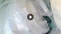 求购中温丙膜，造粒用，成捆的，长期大量在收