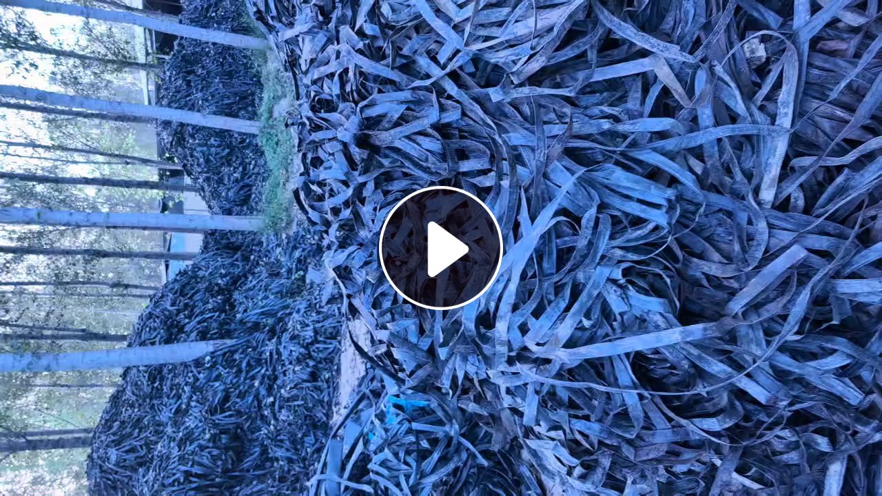 出售PE滴灌带毛料，现货300吨