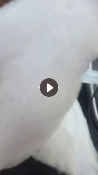 长期出售家居厂下来的丝棉下脚料，无胶棉下脚料，货在河南濮阳