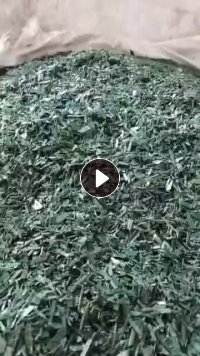 出售干破绿色PET打包带破碎料