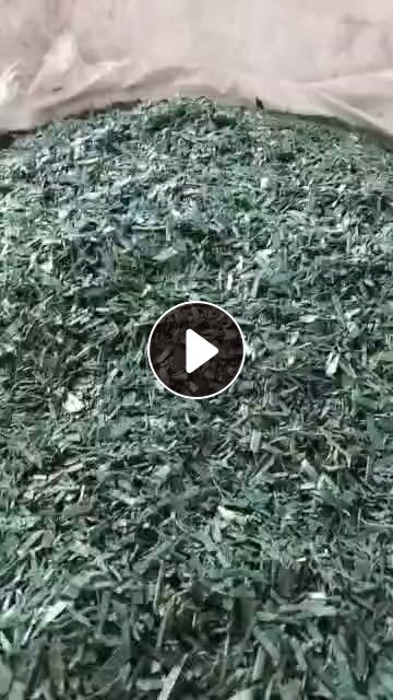 出售干破绿色PET打包带破碎料