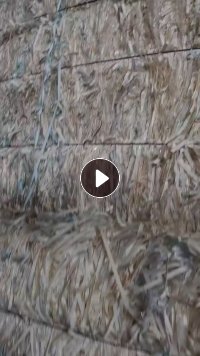 出售长条电子带废料，有带塑料膜