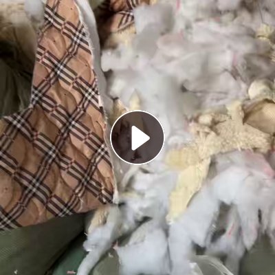 出售绗棉，丝棉下脚料，现货有13米一车，货在辽宁沈阳