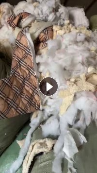 出售绗棉，丝棉下脚料，现货有13米一车，货在辽宁沈阳