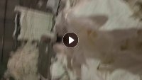 长期出售无油不锈钢衬纸压块
