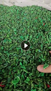 出售水洗PP垃圾桶破碎料，现货30吨