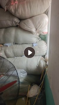 长期出售涤纶玩具料，涤纶废布，有分白色，浅色，中色，月供几十吨，货在河北邯郸