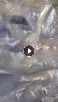 求购PE变色龙废料，造粒用，不带管的，长期大量在收