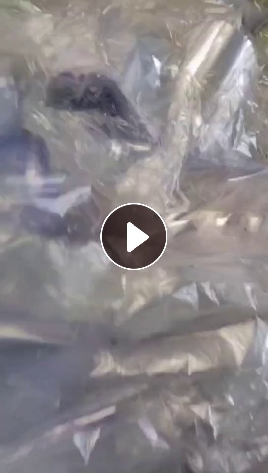 求购PE变色龙废料，造粒用，不带管的，长期大量在收