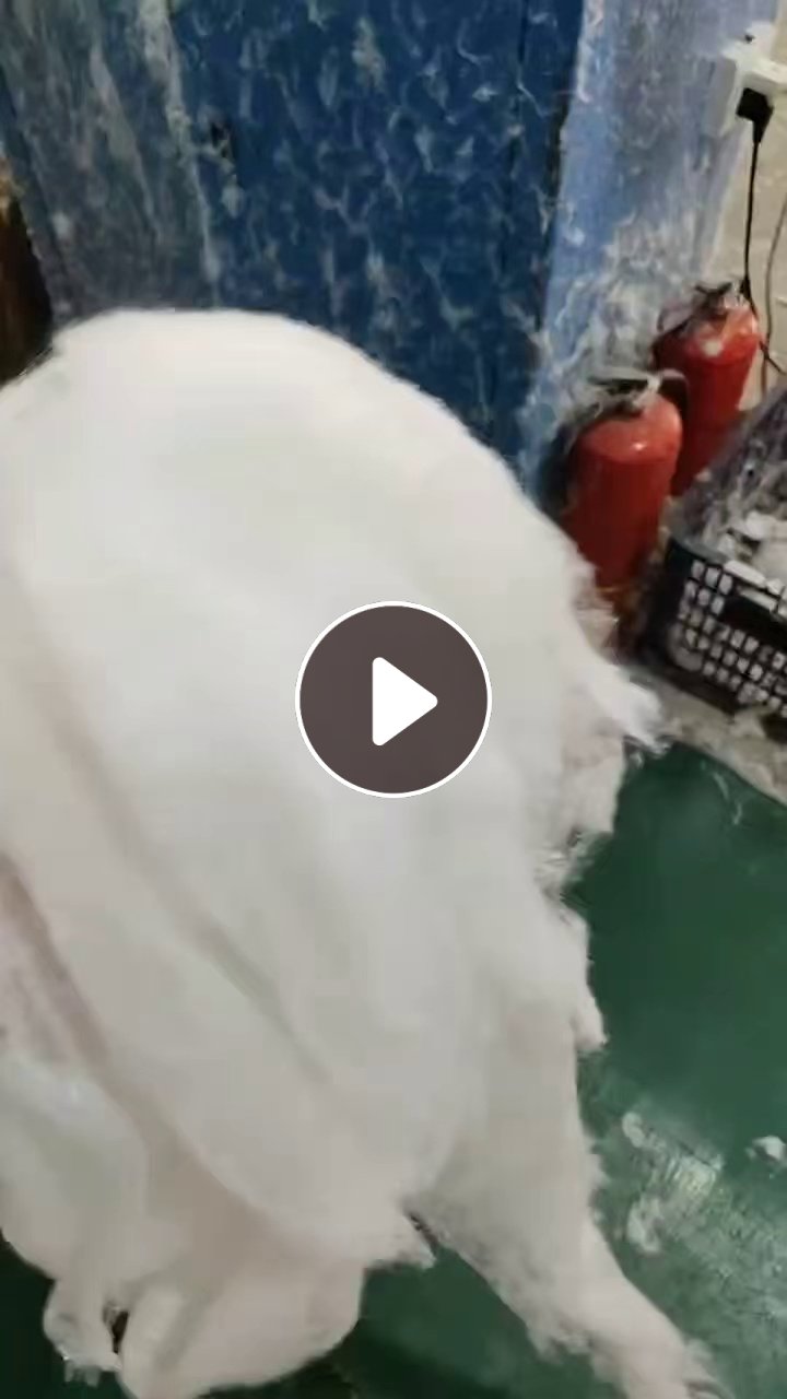 长期出售开好的4080开花棉，4080再生棉，现货20吨，货在河北保定