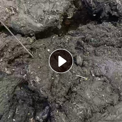 长期回收带金属的PP排渣机头料
