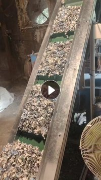 出售pp空心板颗粒，过20目一层网