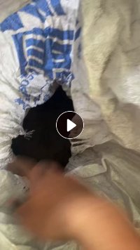长期大量求购EVA鞋底厂下来的EVA粉末