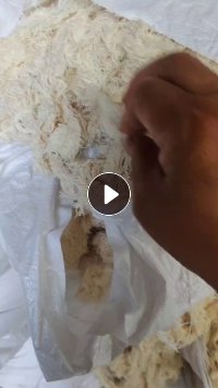长期出售气流纺下来的涤棉布边纱，筋是涤棉的，货在河北保定