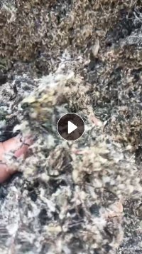 长期出售尼龙轮胎纤维丝