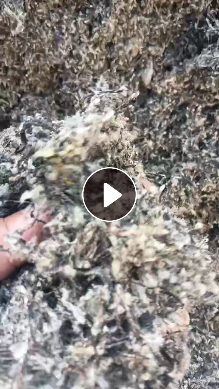 长期出售尼龙轮胎纤维丝