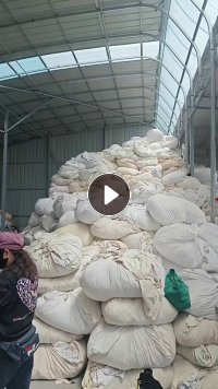 长期大量出售旧衣服大白，白料，开花料，现货有三车，货在辽宁丹东