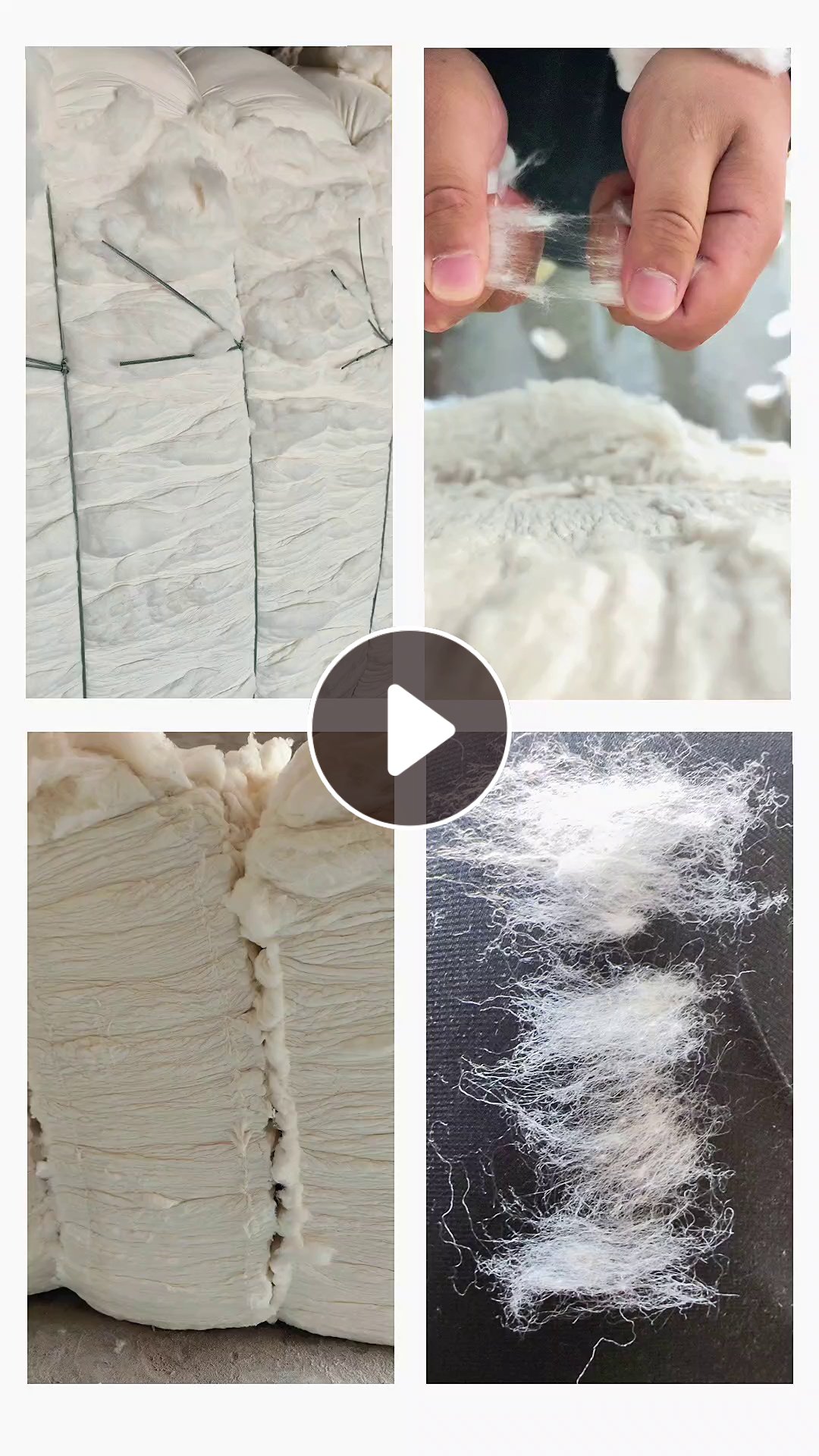 长期出售混纺开花棉，粘胶55棉15涤30，质量很好纤维均匀，不含粘胶