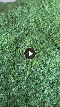 长期出售PET打包带破碎料，干粉水粉都有