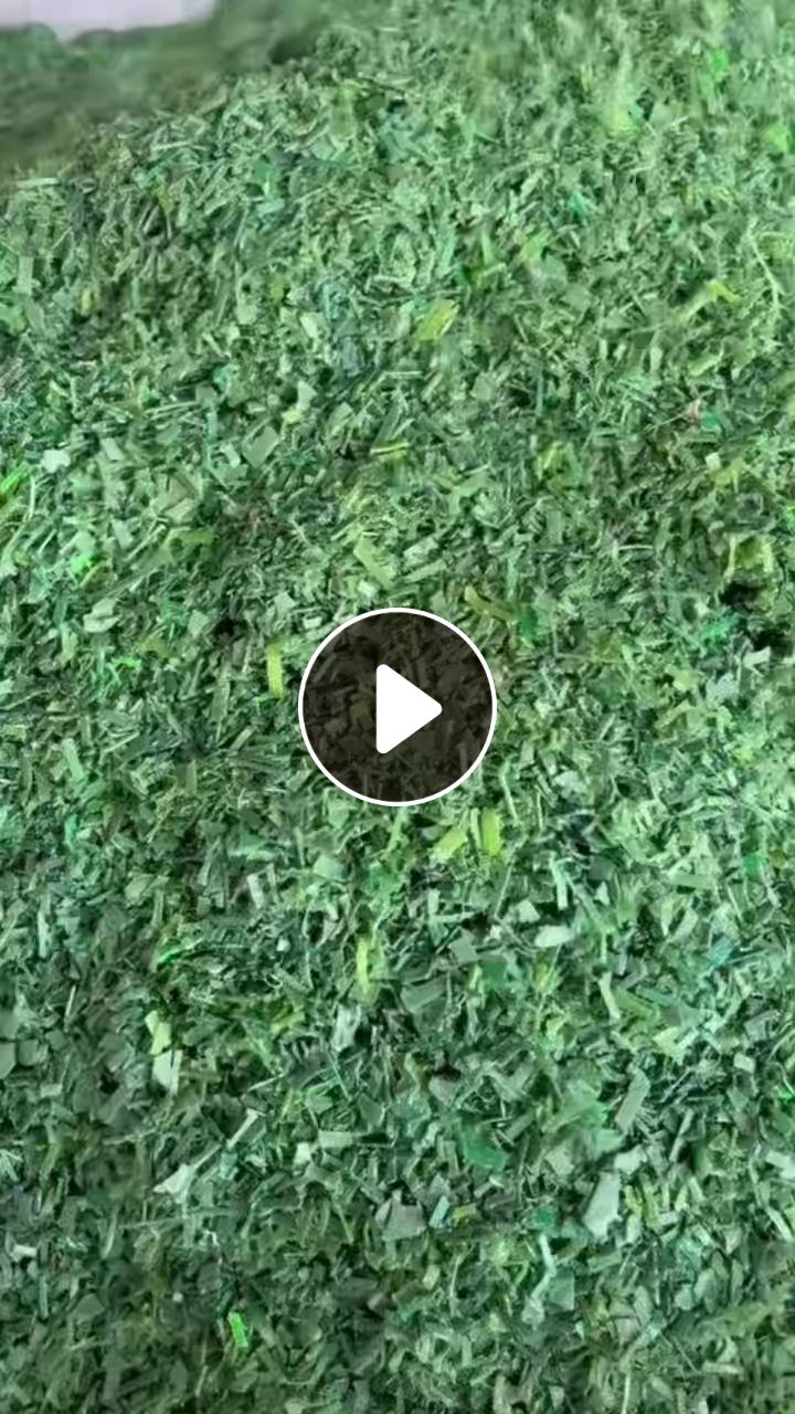 长期出售PET打包带破碎料，干粉水粉都有