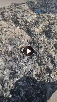 长期出售做油封轴承下来的橡胶鸡爪料