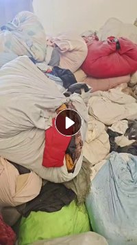 长期出售羽绒服和飞丝，旧衣服分拣出来的，现货4米2一车，货在河北保定