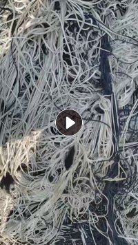 长期回收涤纶工业丝涤纶缆绳，开花用，每月需要200吨左右，厂在河北保定