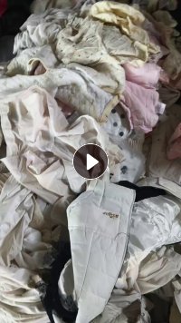 长期出售旧衣服白料，杂白，现货有十几吨，货在河北邢台