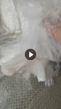 出售锦纶开刀丝，尼龙废丝，锦纶废丝，双六，半消光，现货有50吨左右，货在江苏苏州