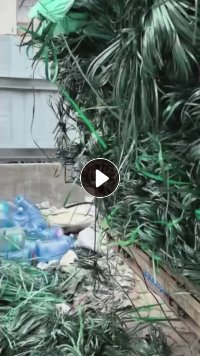 出售PET打包带，现货30吨