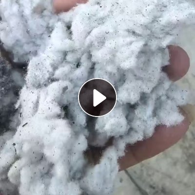 长期求购pvc革吹出来的毛毛料，要短绒的，造纸用，月需500吨